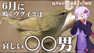 6月に鳴くウグイスの悲しい話、正反対の属性もちで○○男？【ゆっくり解説】【VOICEROID解説】