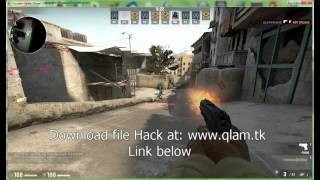 CS GO Wallhack Tutorial!