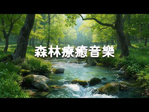 【100% 無廣告】森林療癒音樂 - 消除負面情緒，淨化心靈，瞬間釋放壓力與焦慮｜2小時純音樂＋極致深度睡眠