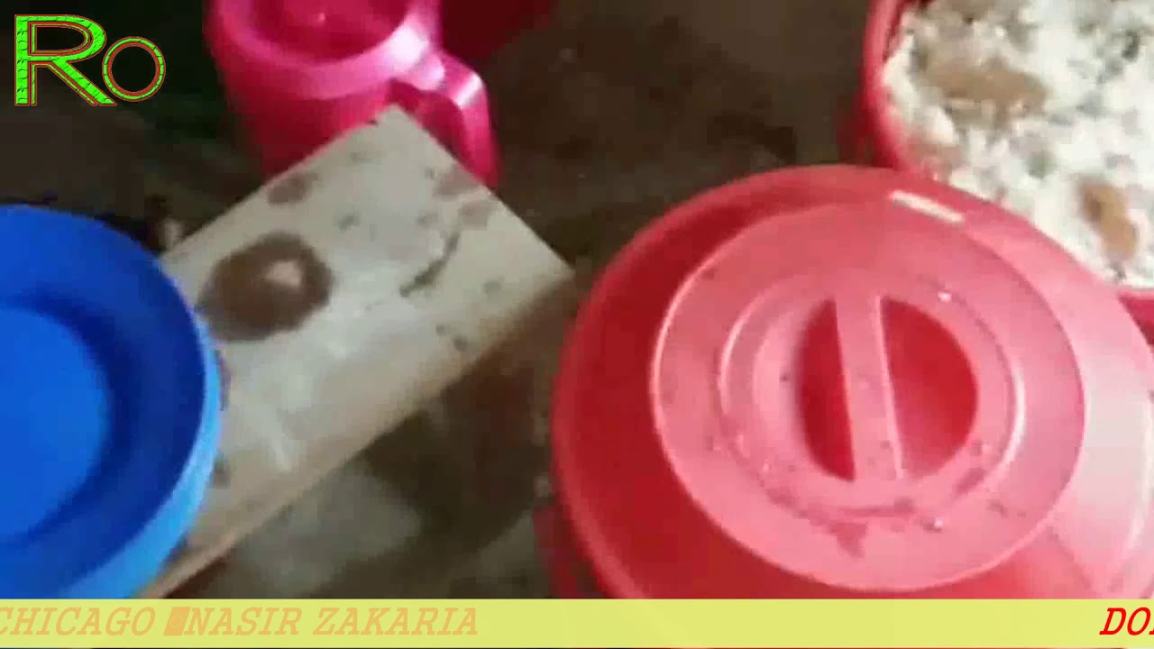 DONATED FROM ARU REFORMIST GROUP BANGLADESH ROHINGYA REFUGEE STUDENTS FAMILY LOST CHILDREN  SAYS A L