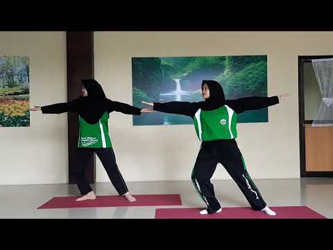 Yoga Kehamilan dengan Gymball (Tutorial)