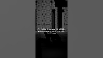 ﴿وَلَقَدْ نَعْلَمُ أَنَّكَ يَضِيقُ صَدْرُكَ بِمَا يَقُولُونَ﴾|القارئ:أحمد خضر