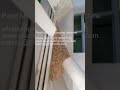 Pearl Millet processing machine cleaning machine, skin peeling machine and size grading machine