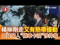 楊柳颱風的影響