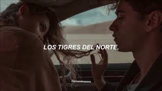 Golpes en el corazon - Los Tigres Del norte, Paulina rubio(Letra)