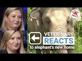 Vet reacts to Kaavan's release