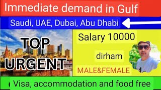 gulf  jobs for Indians gulf job vacancy 2023 malayalam/ Dubai jobs/Abudhabi jobs UAE jobs/Saudi jobs