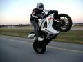 GSXR Wheelie Vid