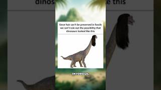 DINOSAURS DID NOT HAVE HAIR!