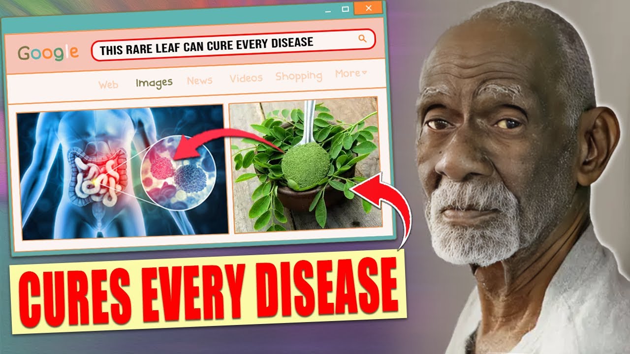 why-this-leaf-can-cure-every-disease-known-to-man-dr-sebi-s-mind
