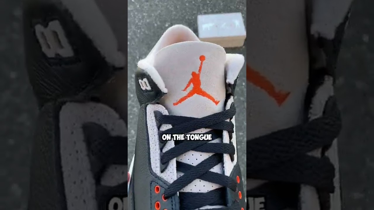 Hidden Details on the Jordan 3 Desert Elephant🐘