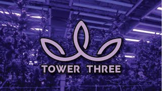 Inside the Grow: Tower Three Cannabis
