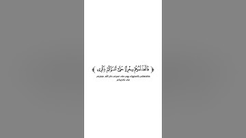 كروما شاشة بيضاء قرآن كريم 🌿تلاوة من سورة المؤمنون 🌿القارئ رعد الكردي 🌿