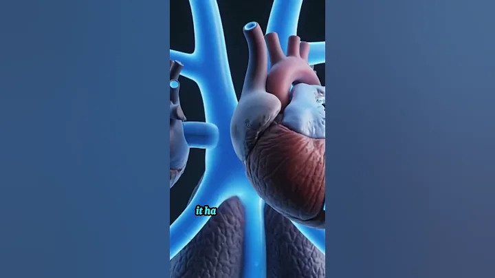 This Animal Has 3 Hearts, 9 Brains, and Bleeds Blue 🐙