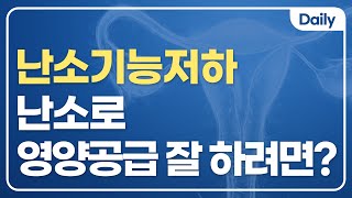 시험관아기 성공률 높이는 팁! 난소로 영양분을 잘 보내줘야 난포가 잘 성장합니다.
