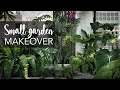 Small tropical garden (20sqft) makeover with 10 Pro Gardening Tips