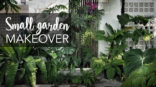 Small tropical garden (20sqft) makeover with 10 Pro Gardening Tips screenshot 3