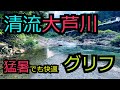 【GLYPH前日光店】猛暑でも快適キャンプ!グリフは関東屈指の清流、大芦川を満喫できる絶好の穴場キャンプ場です!ENDLESS BASE Yukazuro Modelデビュー