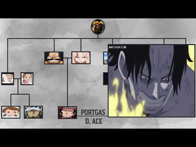 ONE PIECE D FAMILY TREE - Including Rocks D. Xebec!! class=