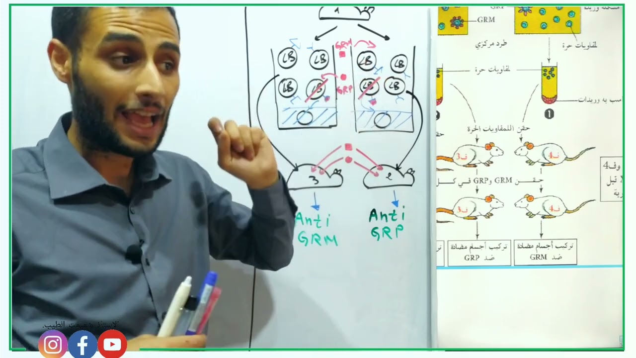 #دروس_باكالوريا #علوم #مناعة | الانتقاء النسيلي للخلايا LB