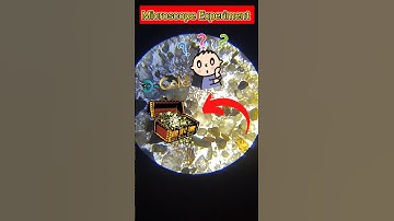 Sand under the microscope #youtubeshorts #facts #microscope #science #viralvideo