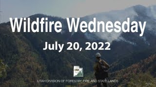 Wildfire Wednesday, July 20, 2022