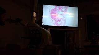 DBLP2-20141118-P6