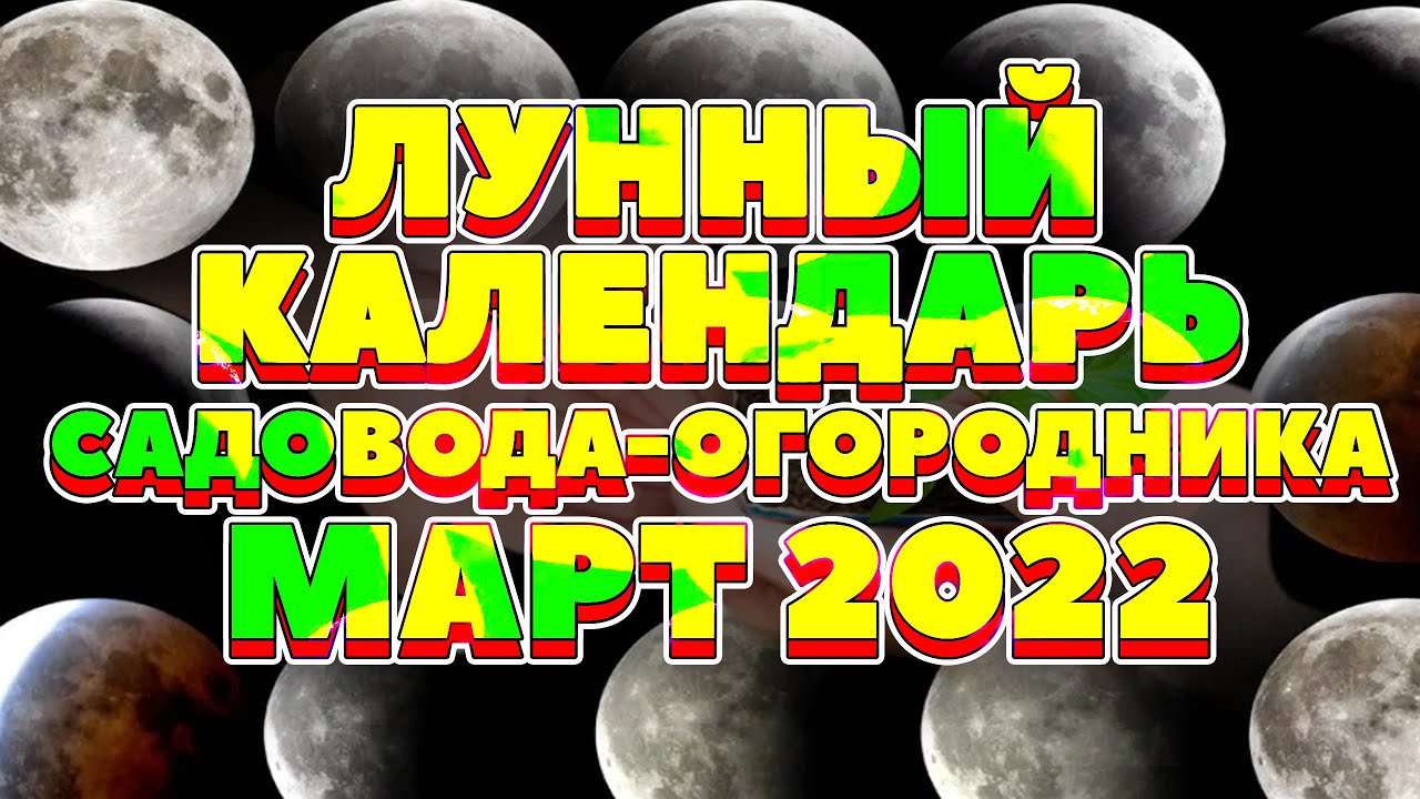 Луны огородника на март. Лунный посевной календарь на март 2022. Лунный календарь на март 2022. Лунный посевной календарь на 2022. Лунный календарь на март 2022 года посевной.