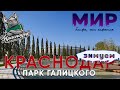 Парк Галицкого. Самое популярное место Краснодара.