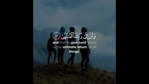 تلاوة خاشعة للقارئ شريف مصطفى 🌹