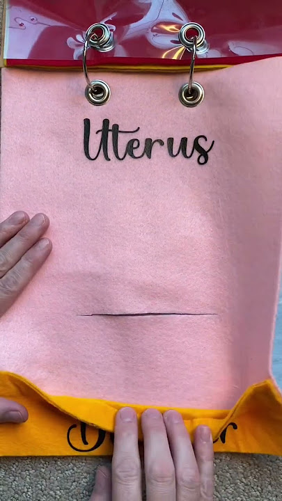 C-Section Anatomy {7 Layers!} #csection #childbirtheducation #laboranddelivery #pregnancyjourney