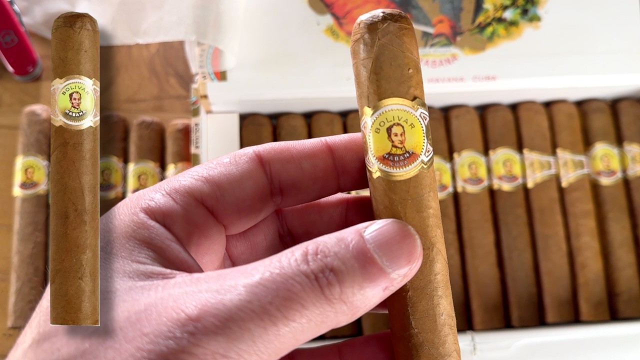 Bolivar Royal Corona