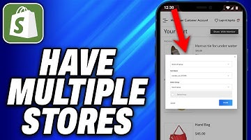 How To Have Multiple Shopify Stores (2025) - Easy Fix