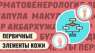 ПЕРВИЧНЫЕ ЭЛЕМЕНТЫ КОЖИ. АЛГОРИТМ ДИАГНОСТИКИ