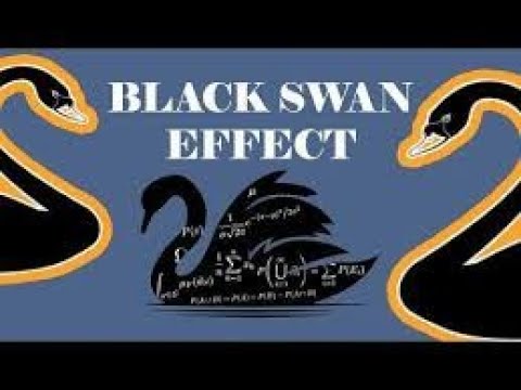 Qu’Est-Ce Qu’Un Événement Black Swan Et Comment En Identifier Un