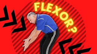 Back Pain FLEXOR What To Do