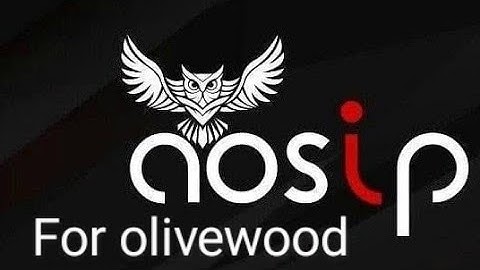 Installing AOSIP RAVIOLI Android 11 Custom Rom for Redmi 8A Dual