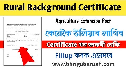 @BhriguBaruah How to Apply for Rural Background Certificate|Agriculture Extension Post|Fillup