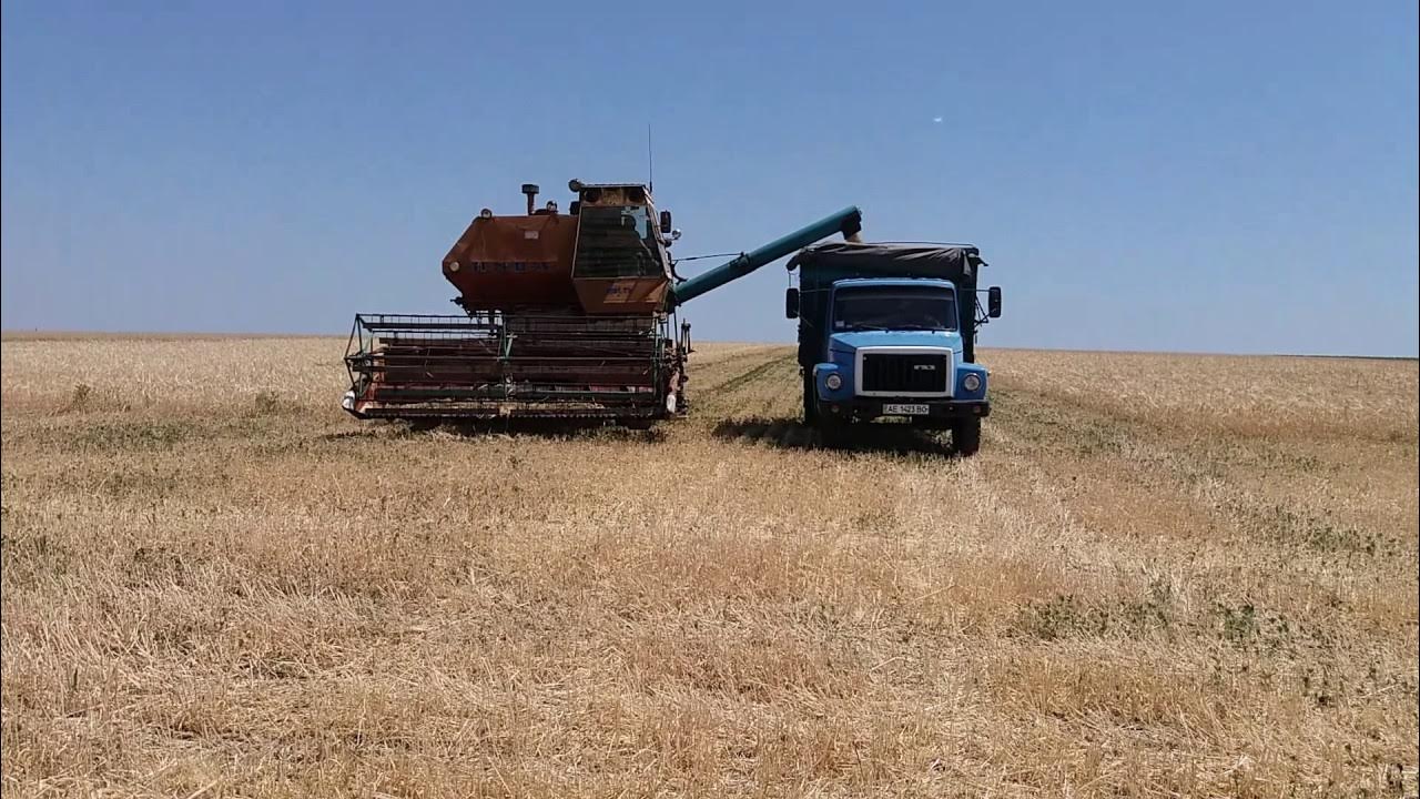 Нива комбайн в поле фото