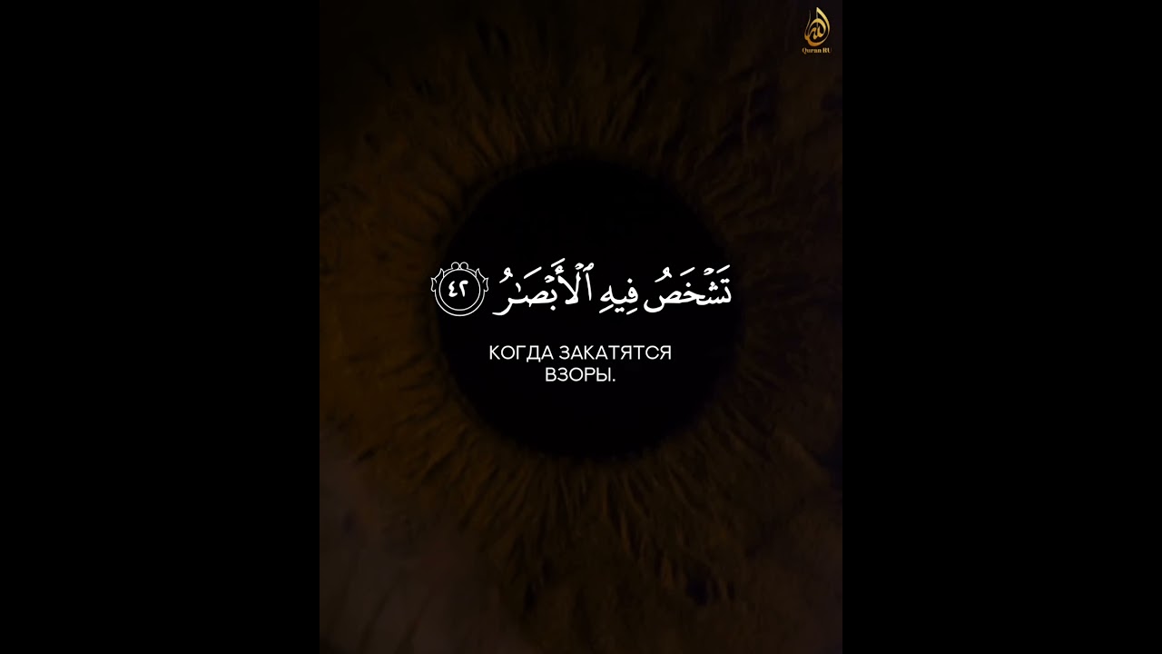 Сура: Ибрахим [42-44]  " Не думай, что Аллах не ведает о том, что творят беззаконники."
