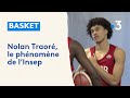 Basket  nolan traor le phnomne de linsep