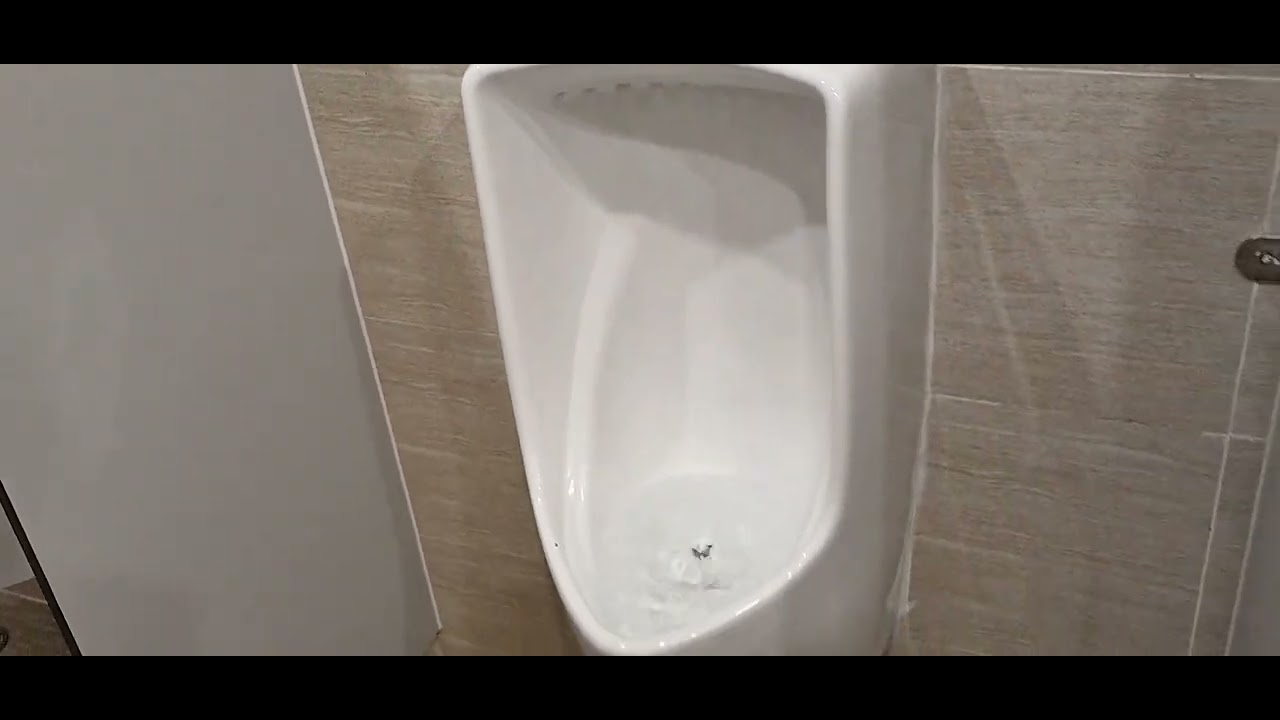 喺 呢個浩瀚互連網世界裏面，隱藏著好多光怪陸嘅人和事，The Bizarre and Surreal World of the Internet