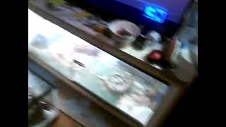 20191017 185224 2
