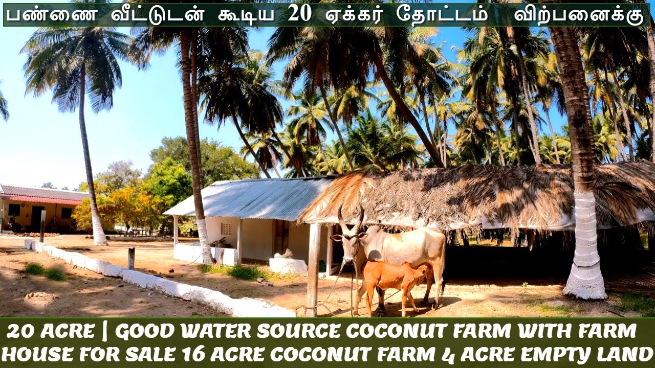 20 Acre Coconut Farm with Farm House for sale @Anaimalai| ஆனைமலையில் 20 ஏக்கர் தோட்டம் விற்பனைக்கு