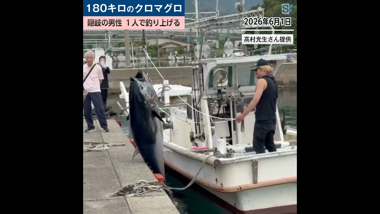 180キロのクロマグロを1人で釣り上げる! 島根県隠岐の島町