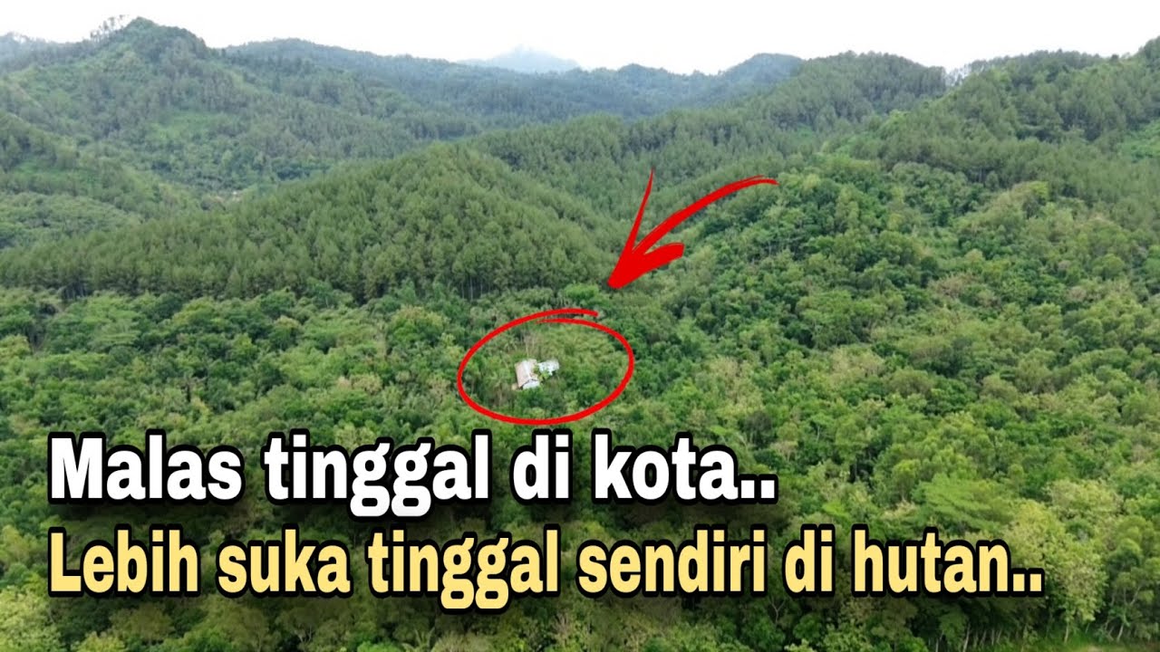 MENGUNJUNGI SEORANG PRIA YANG LEBIH SUKA TINGGAL DI HUTAN DARI PADA DI KOTA.