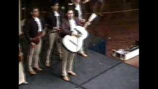 Video thumbnail of "Mariaci Oro Del Sol EL  Sinoalnense Cielo Vista Aug. '86"