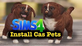 How To Download CC Pets - Sims 4