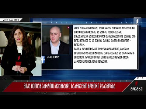 ნიკა მელიამ პარტიის შექმნამდე საარჩევნო ნომერი დააანონსა