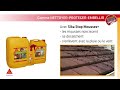 Sika stop mousses anti traces vertes et rouges